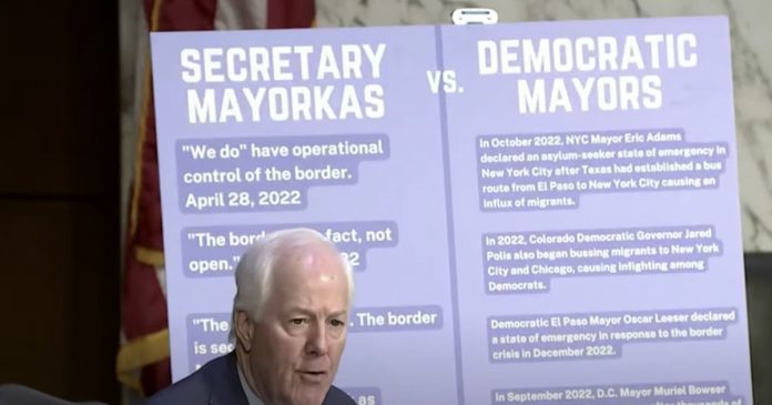 Cornyn to Mayorkas: 'You should be fired' | National