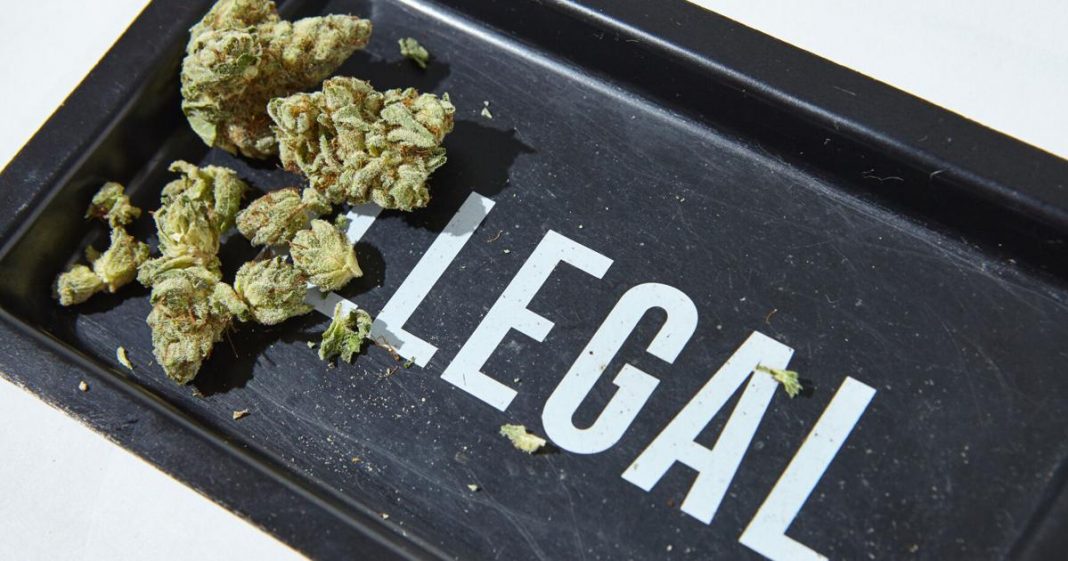 Florida marijuana legalization initiative has 94% of signatures required | Florida
