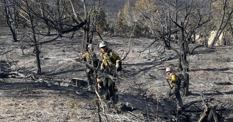 Gov. Polis sends $8M to areas affected by two wildfires with 4K acres burned | Colorado