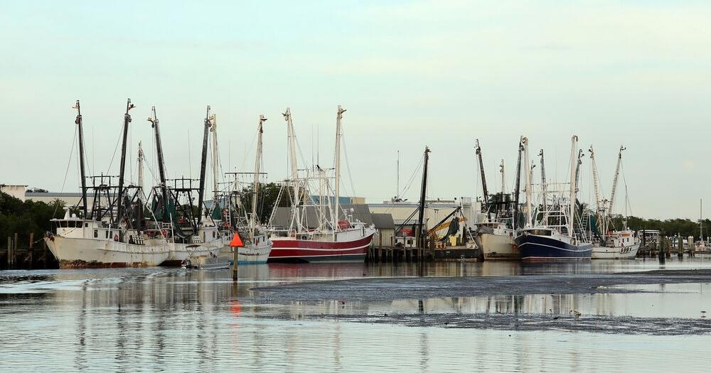 Data shows Florida seafood landings rank below historic trends | Florida