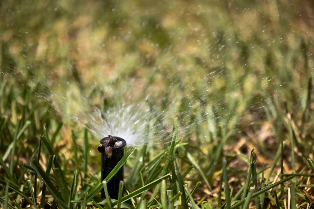 Austin announces new water restrictions on everything from lawns to dining out