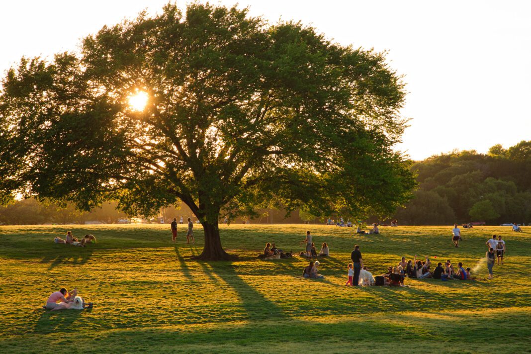 Parks board to take an (ever-so-brief) pause on Zilker Park plan