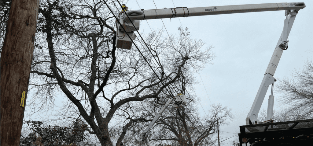 Audit finds Austin Energy falling behind on tree-trimming schedule