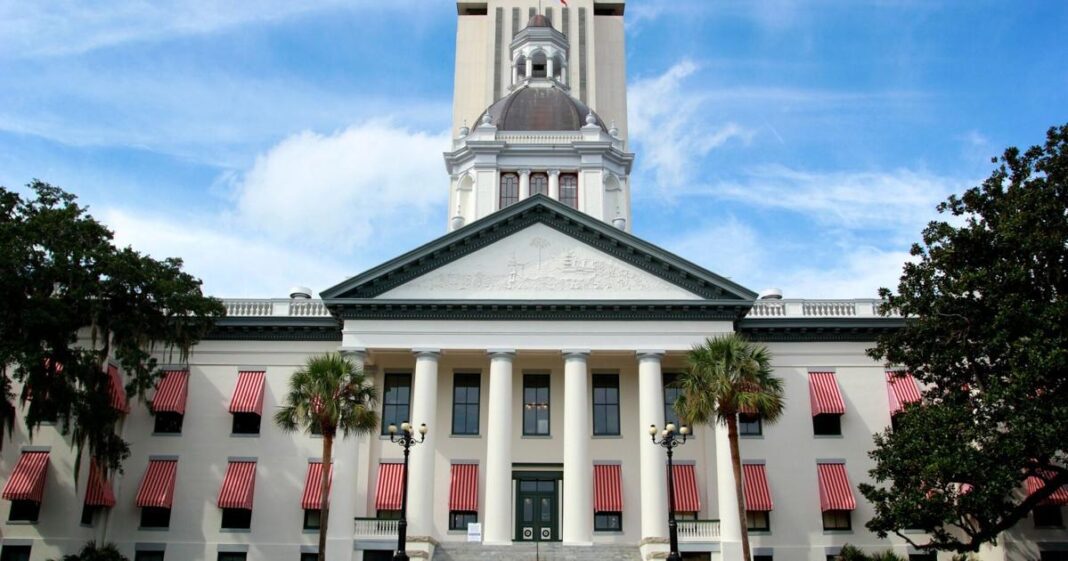 Five new candidates declare for 2024 Florida legislative races | Florida