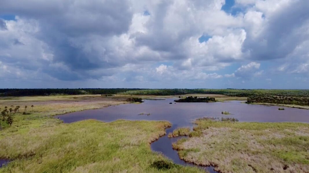 Preserving 'Heart of the Everglades' sparks fuss over access by Florida airboat operators