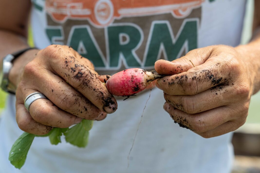 As consumers flock to organic foods, lawmakers urge more federal grants for farmers