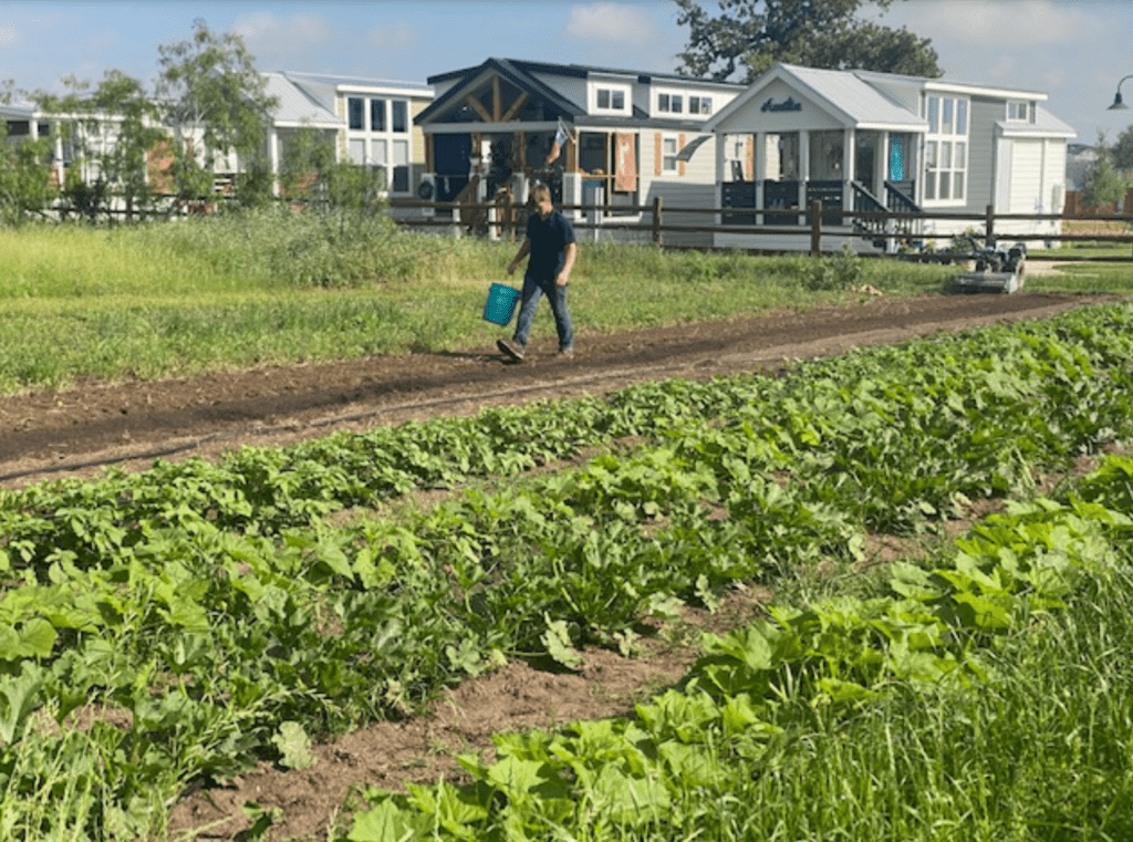 City could push 'agrihood' combos of farmland, housing developments in East Austin