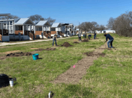 Council pushes for ‘agrihood’ pilot program merging homes with farmland in East Austin
