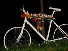 Bike Advisory Council urges city to protect ghost bikes